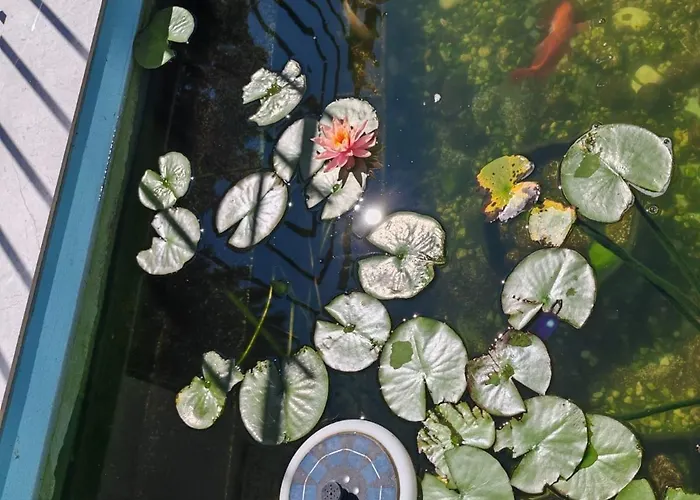 Vila Blue Lagoon Eforie Nord